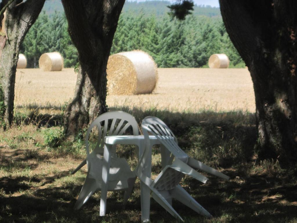 Le Relais De Porz Morvan Plomodiern エクステリア 写真